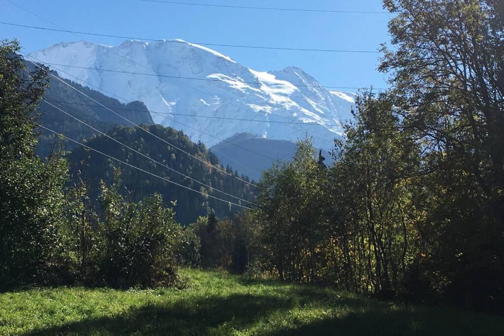 Appartement Lumineux Et Cosy En Rez De Jardin Saint-Gervais-les-Bains Εξωτερικό φωτογραφία